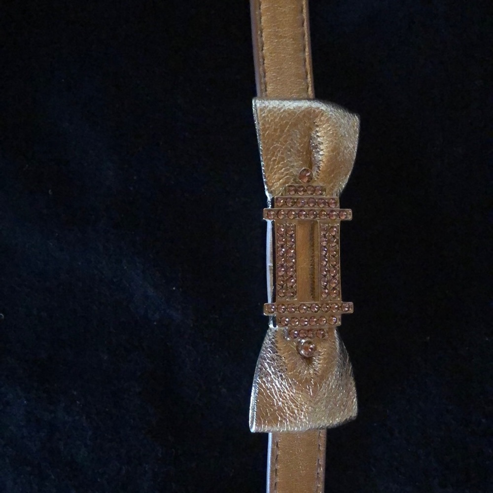 Jimmy Choo jubee belt.
